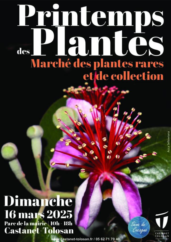 Printemps des Plantes  - Castanet-Tolosan 