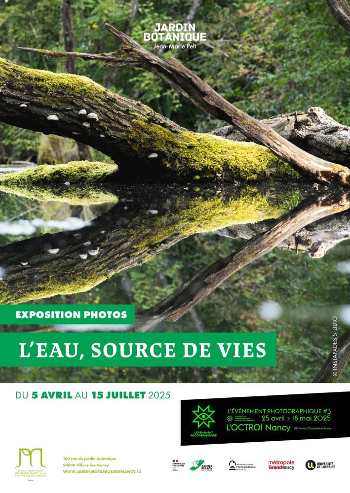 L'eau, source de vies - Villers-lès-Nancy