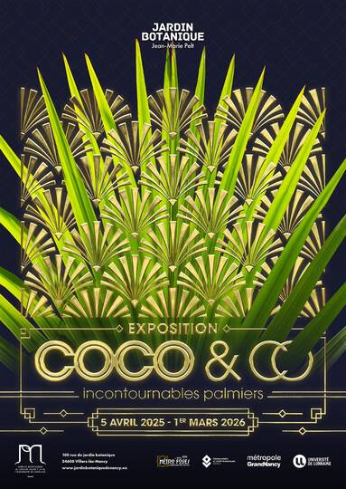 Coco & co - Villers-lès-Nancy