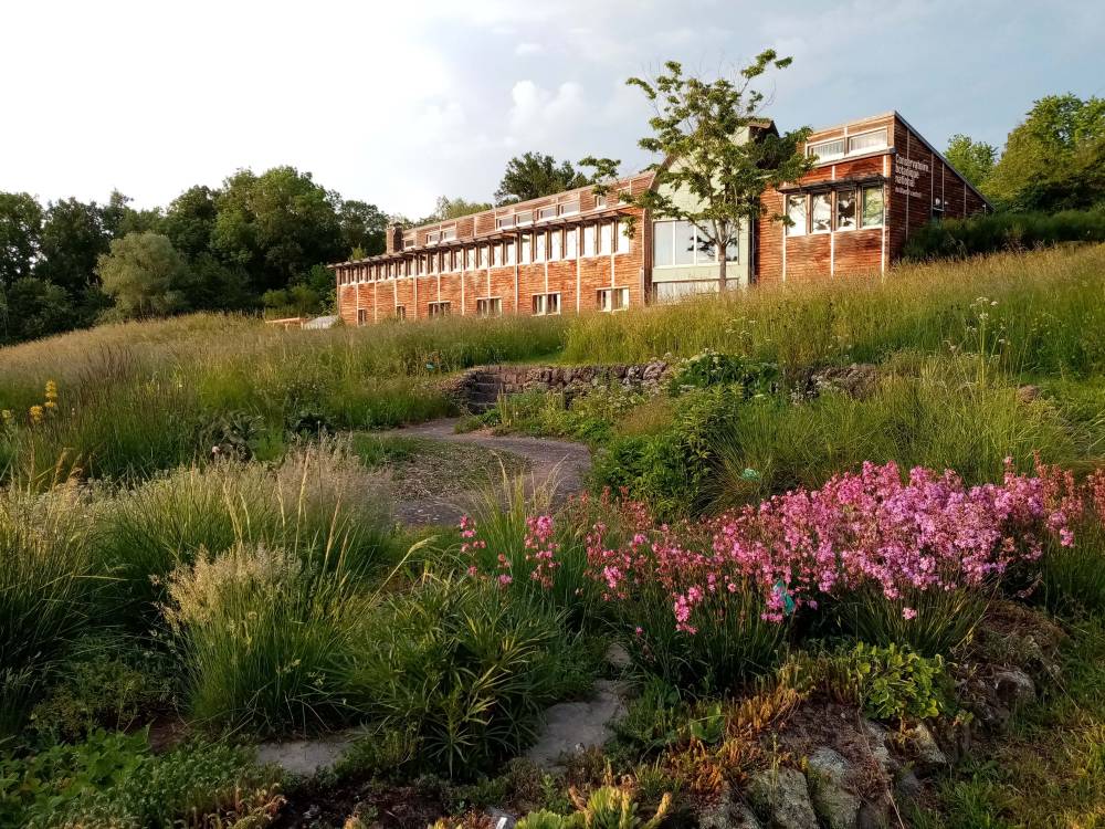 Visite guidée des jardins du Conservatoire botanique  - Chavaniac-Lafayette