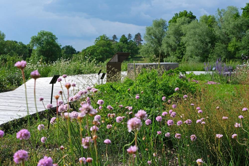 Visite guidée des jardins du Conservatoire botanique  - Chavaniac-Lafayette
