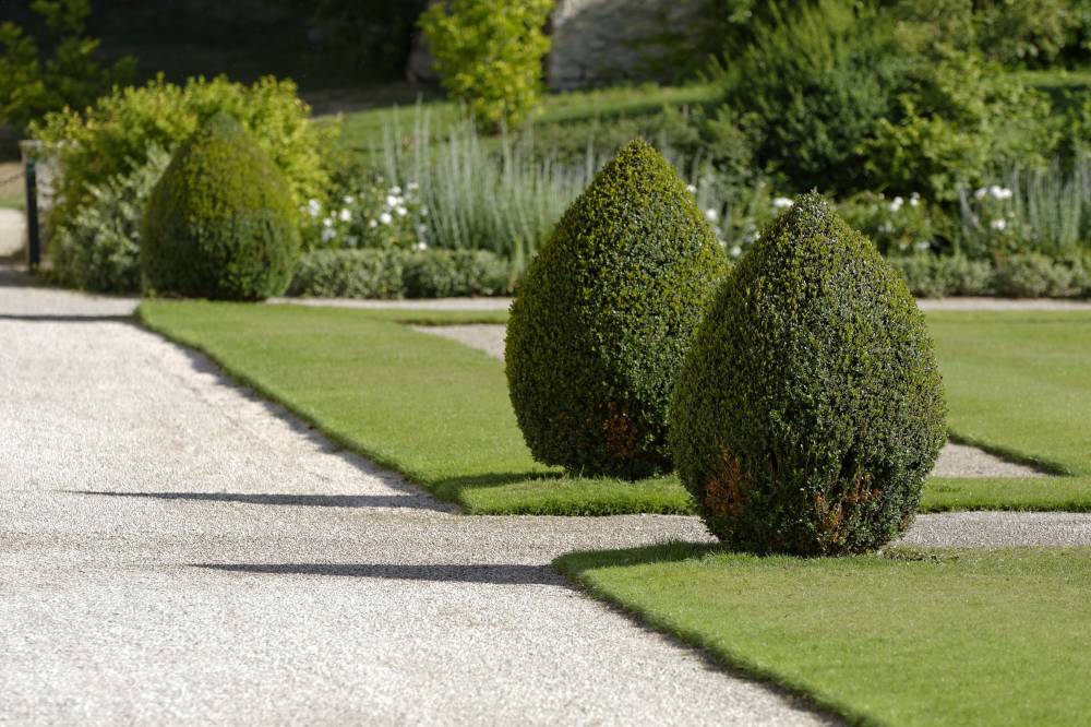 Rendez-vous aux jardins - Marmagne