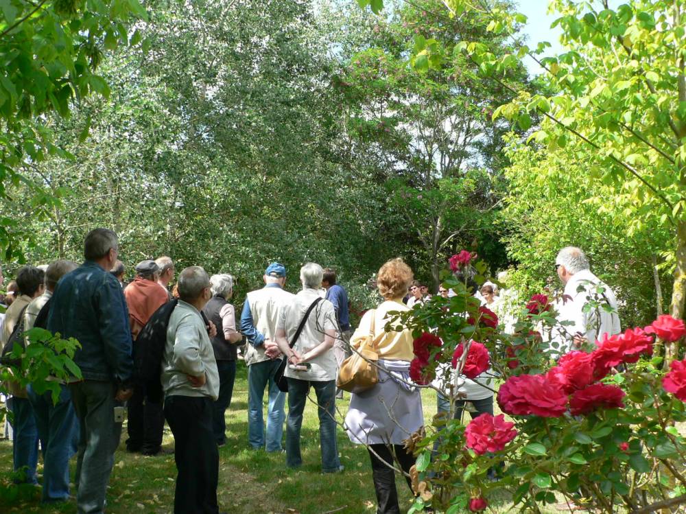31ème Fête des roses - Saint-Révérend
