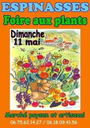 Foire aux plants et marché artisanal - Espinasses