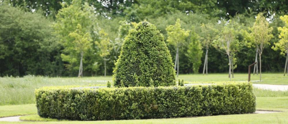 Les collections d'art contemporain du Domaine - Chaumont-sur-Loire
