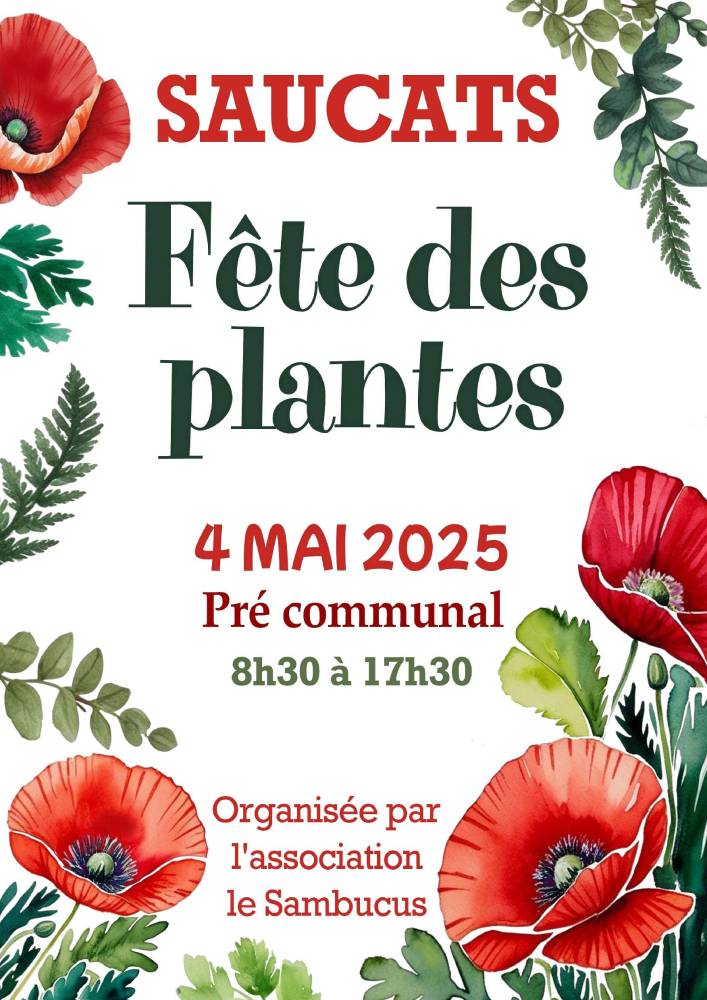 Fête des plantes - Saucats