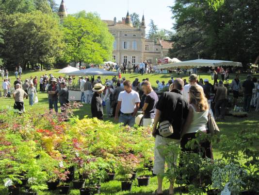 Plantes et fleurs en fête - Grospierres