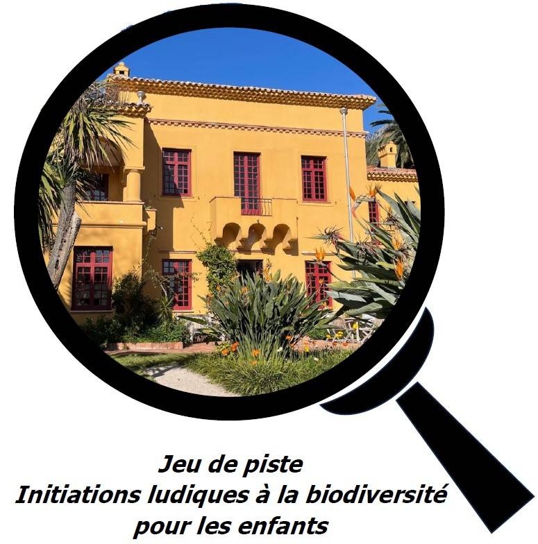 Activités de découverte en famille 
