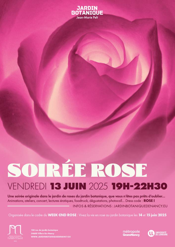 Soirée Rose