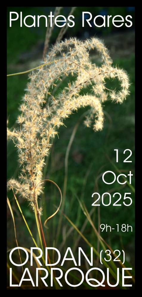 23ème Journée des plantes rares - Ordan-Larroque