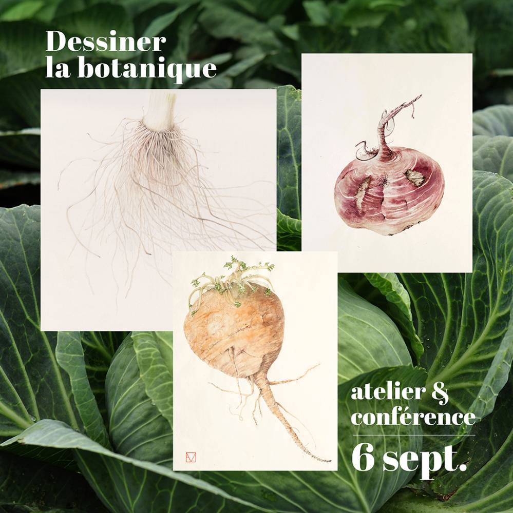 L’histoire et l’actualité de l’illustration botanique  - Villers-lès-Nancy