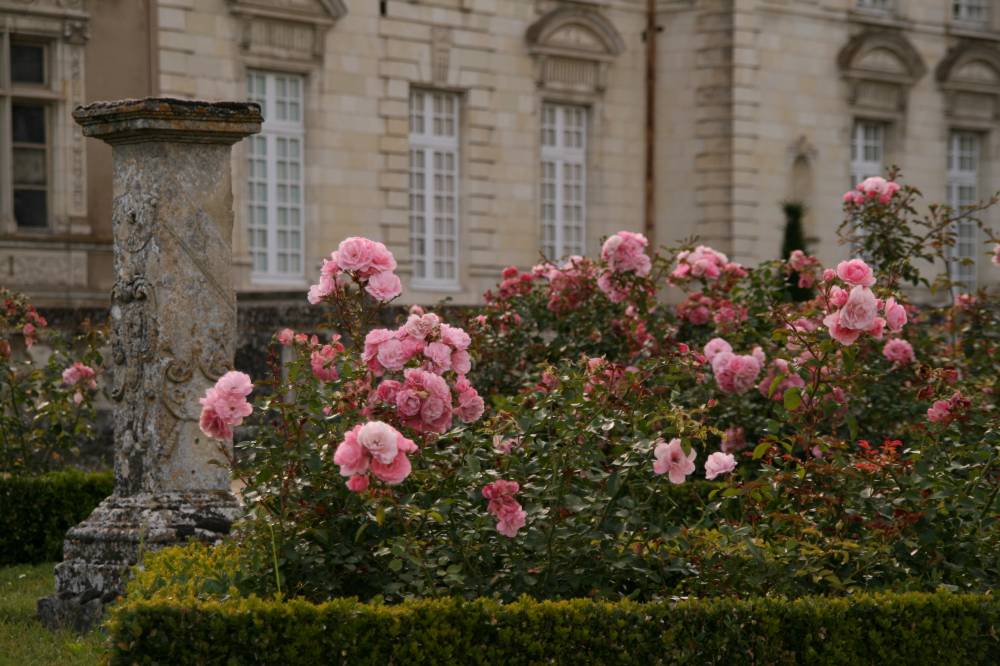 Rendez-vous aux jardins 2025 - Le Lude