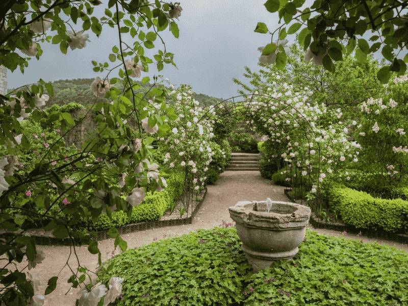 Balade sensorielle au jardin