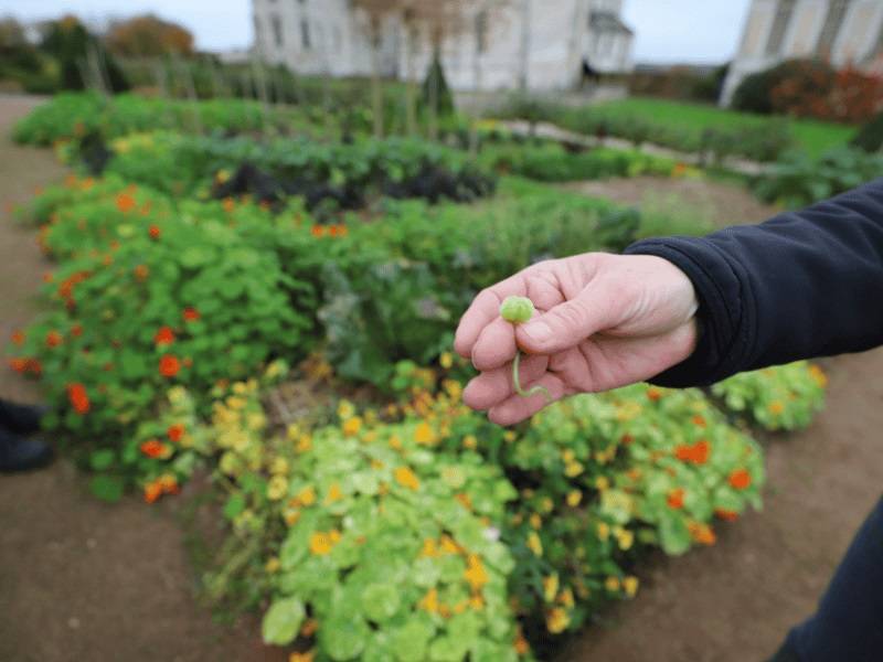 Garden tour
