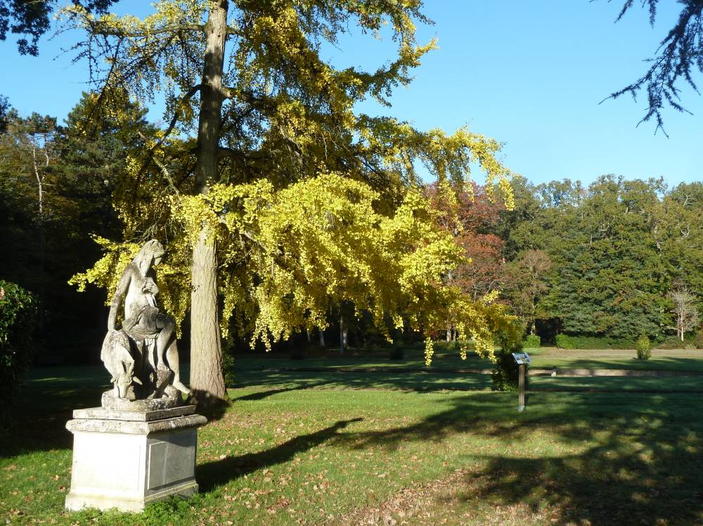 Les estivales de La Droitière - Mauves-sur-Loire
