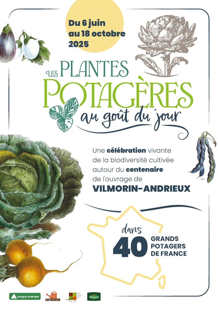 Les plantes potagères au goût du jour - Saint-Martin-de-Boscherville