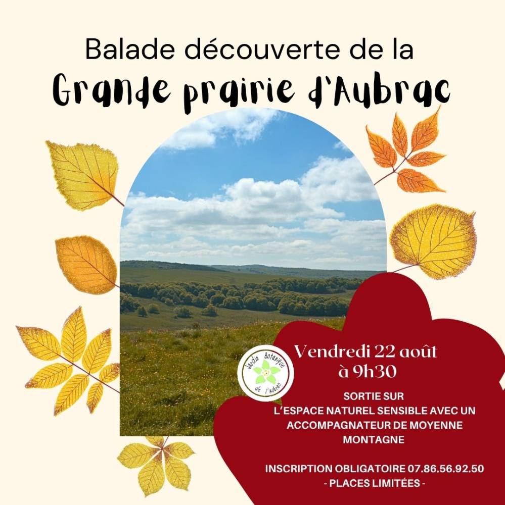 Balade découverte de la Grande prairie d’Aubrac - Saint-Chély-d'Aubrac