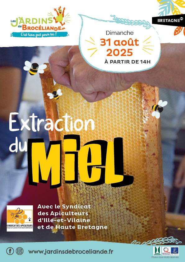 Extraction du miel des Jardins de Brocéliande