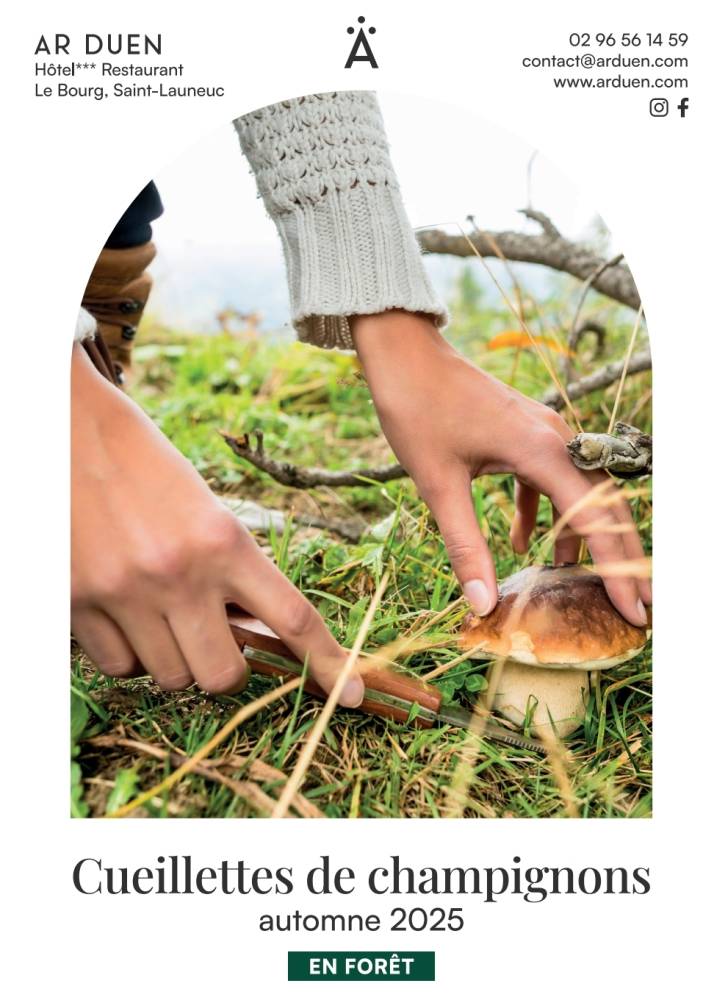 Cueillettes de champignons en forêt de la Hardouinais – Automne 2025 - Saint-Launeuc