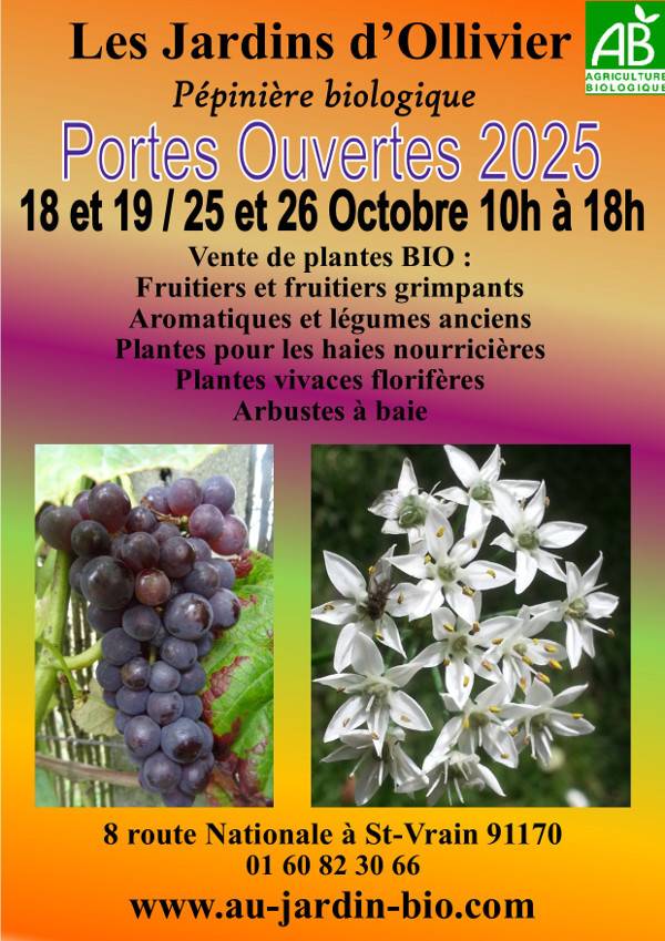 Portes Ouvertes d'Octobre 2025 les 18 et 19 / 25 et 26 octobre 2024