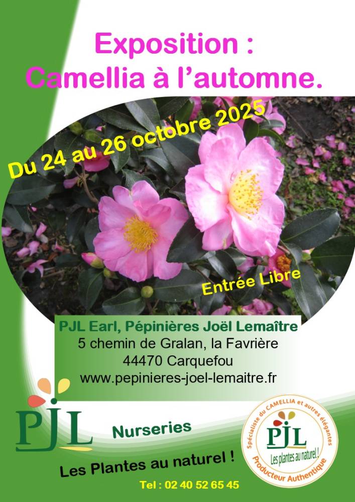 Exposition le camellia à l'automne