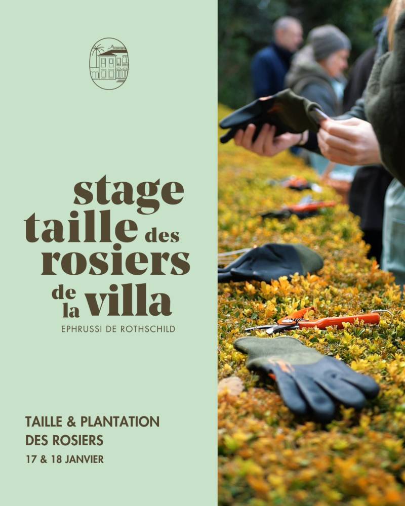 Stage Jardinage - Tailles des Rosiers - Saint Jean Cap Ferrat