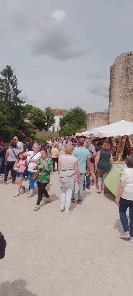 Deuxième édition fête des fleurs  - Brie-Comte-Robert