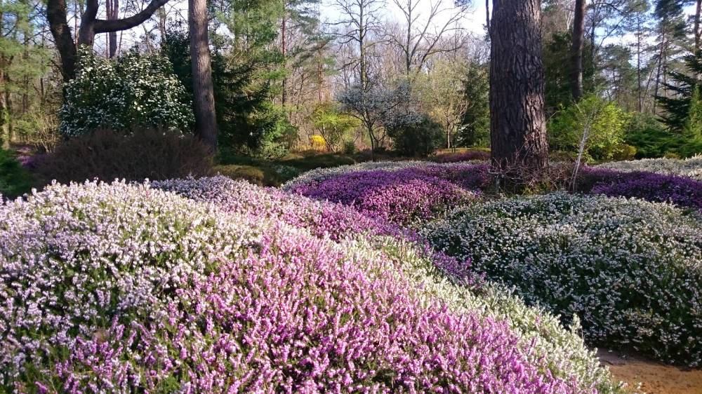 Bienvenue dans votre Arboretum - Ingrannes