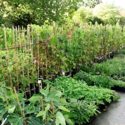 Portes-ouvertes - Saint-Vrain Portes-ouvertes - Saint-Vrain