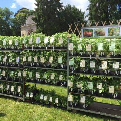 Portes-ouvertes - Saint-Vrain Portes-ouvertes - Saint-Vrain