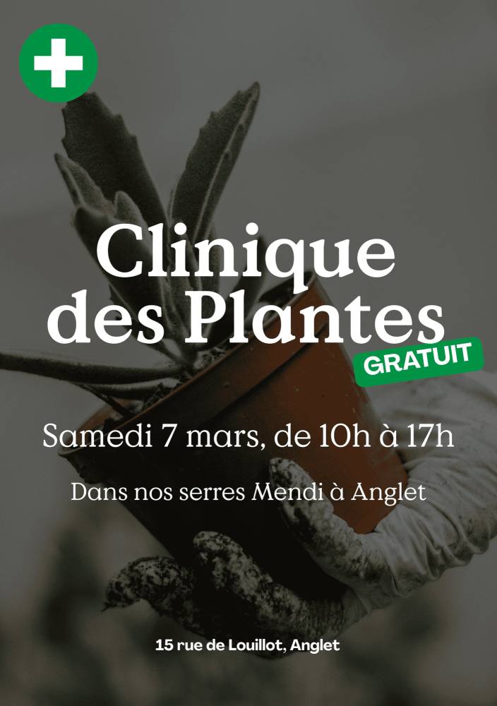 La Clinique des Plantes - Anglet