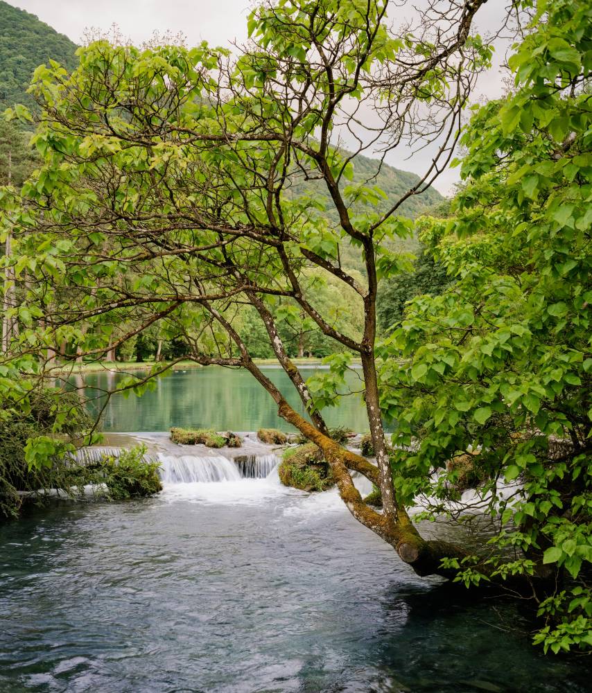 Entre eaux calmes et tumultueuses ! - Vizille