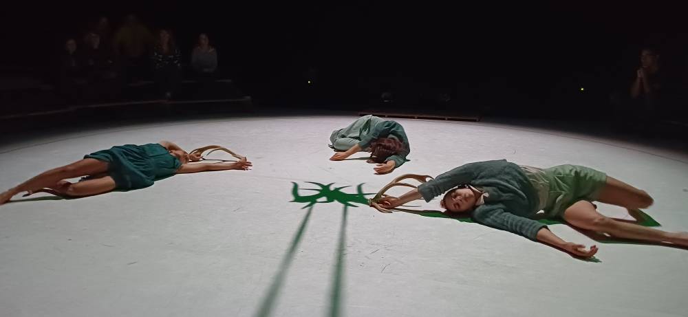 Faune - Vizille Faune - Vizille