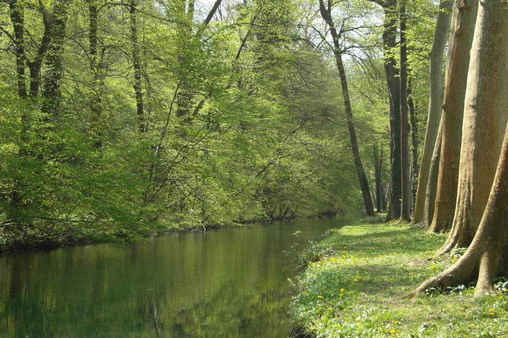 Lancement du parcours audioguidé du parc - Vizille Lancement du parcours audioguidé du parc - Vizille