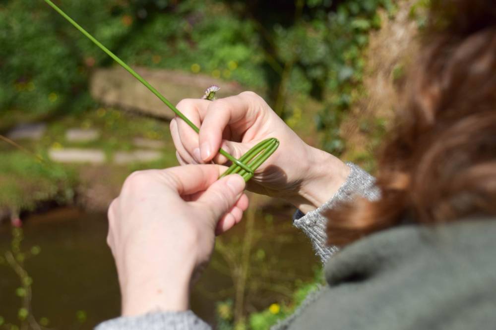 Ateliers nature aux Jardins de Brocéliande