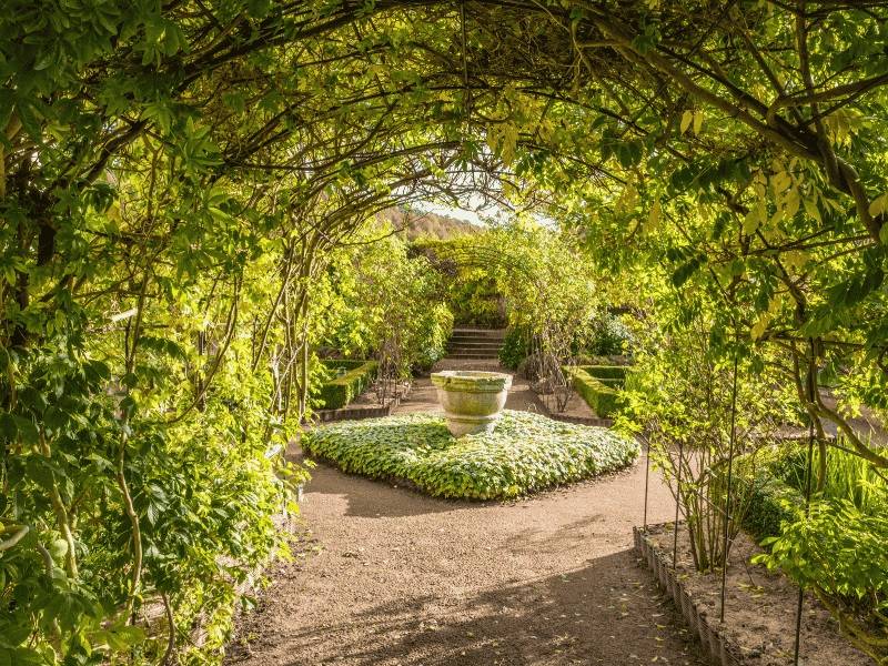 Balade sensorielle au jardin