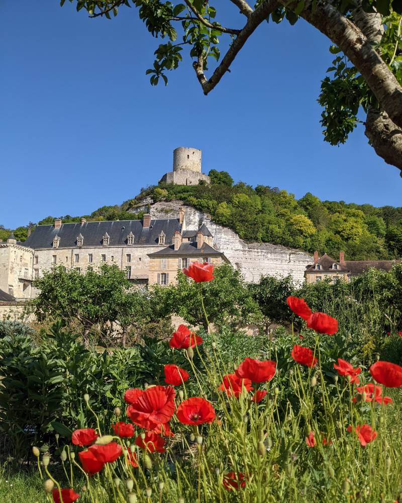Rendez-vous aux Jardins - La Roche-Guyon