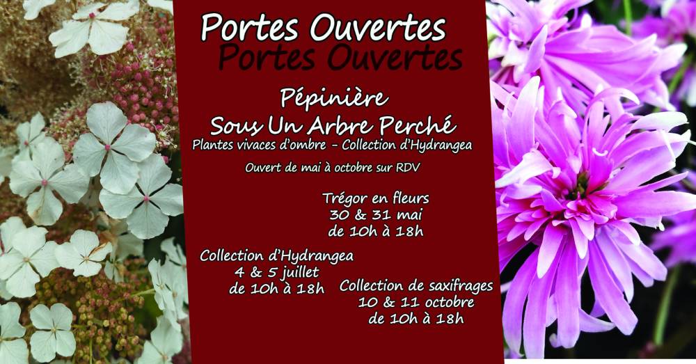 Portes ouvertes Hydrangea - Guerlesquin 