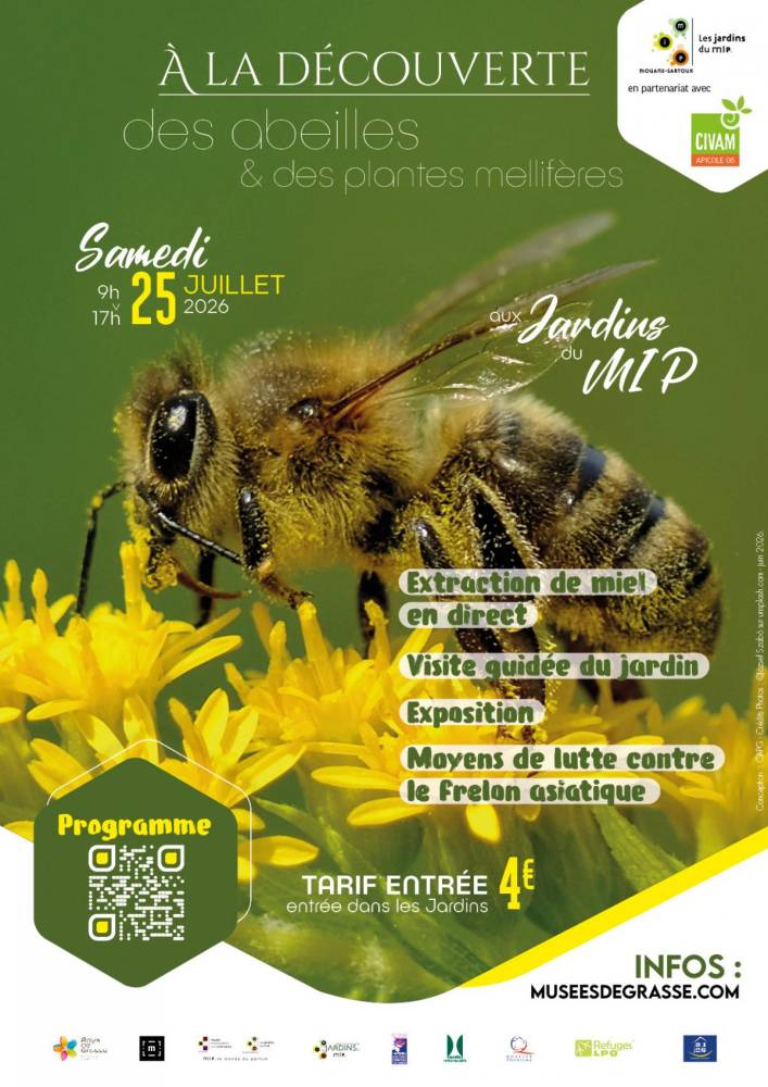 A la découverte des abeilles et des plantes mellifères