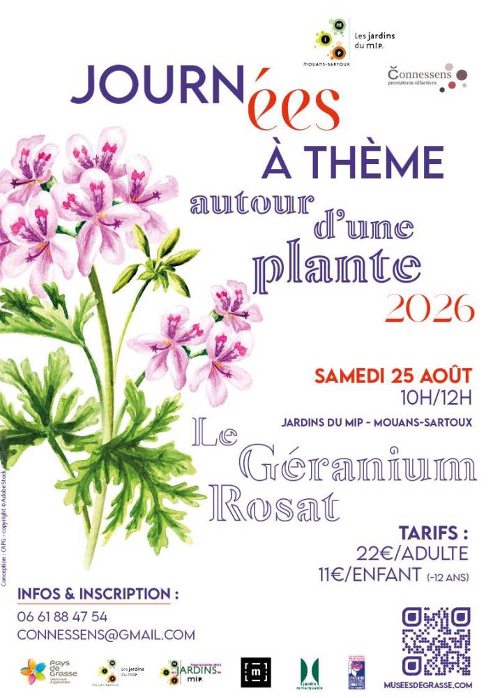 Journée autour d'une plante : Le Géranium Rosat - Mouans-Sartoux