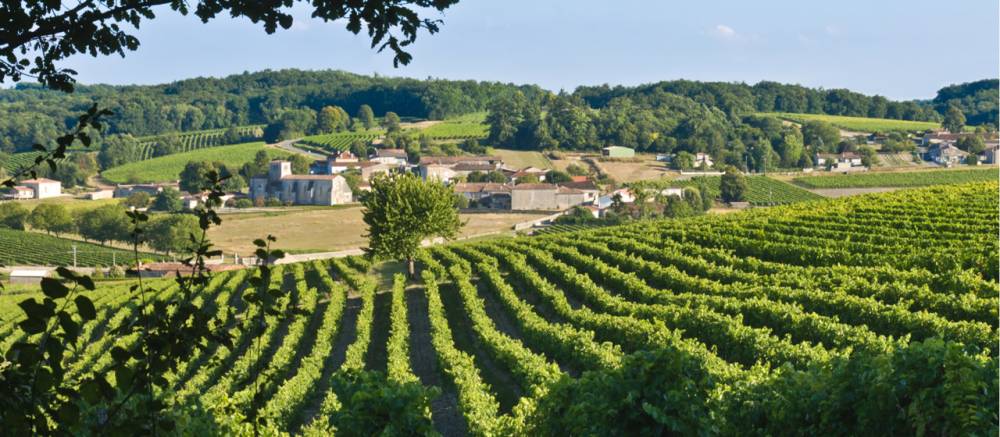 Mémoire du paysage - Châteaubernard