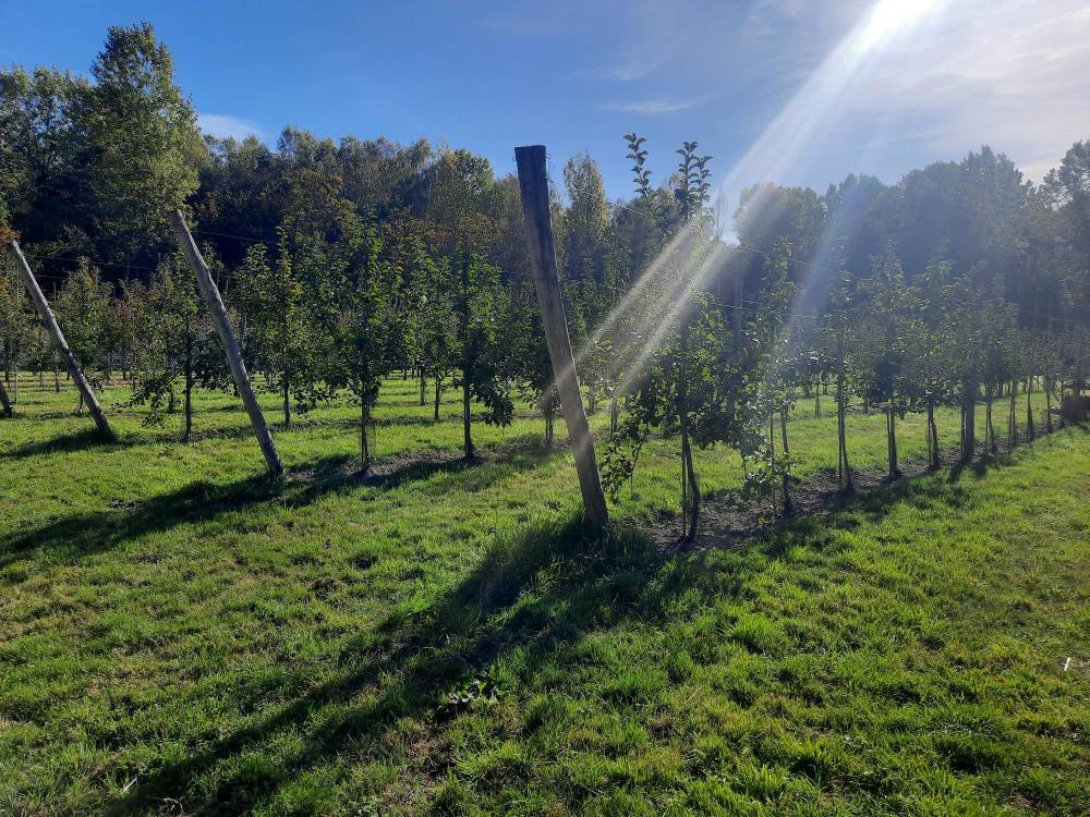 Les Journées du verger et du potager - Fontaine-Chaalis