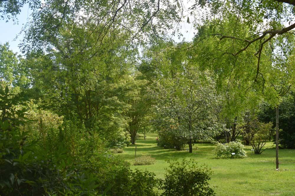 Campagne de dons en faveur de l'Arboretum Adeline - La Chapelle-Montlinard (18)