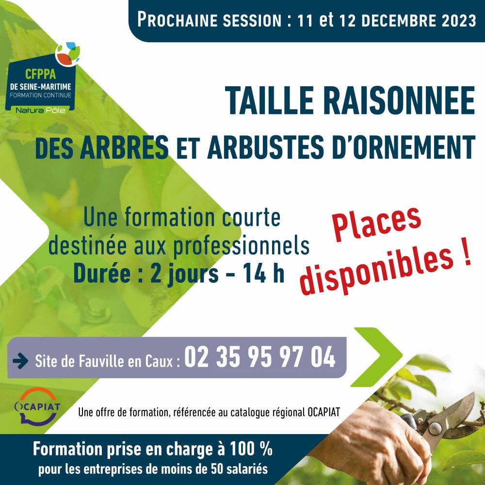 Taille raisonnée des arbres et arbustes d'ornement - Fauville-en-Caux (76)