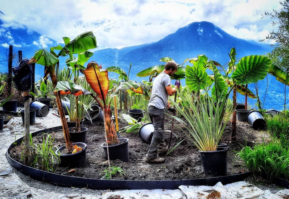 Recherche jardinier / jardinière - PASSY (74)