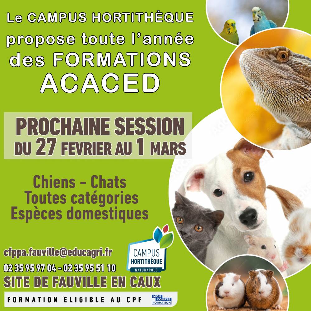 ACACED Chiens / Chats et autres espèces domesstiques - Fauville en caux (76)