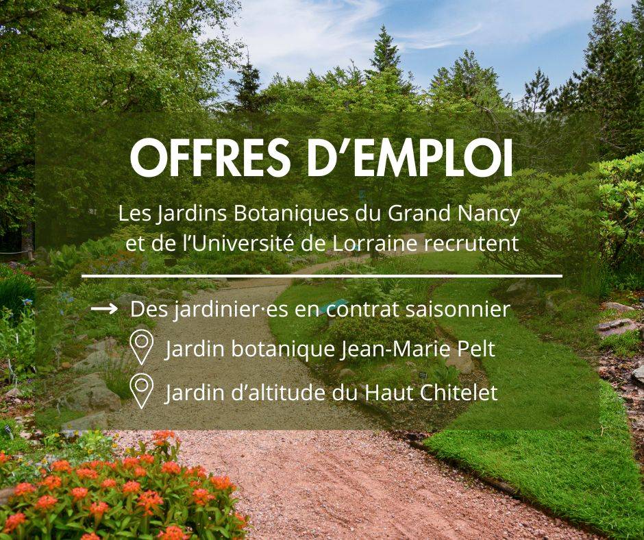 Offre d'emploi, contrat jardinier·e saisonnier·e - Villers-lès-Nancy (54)