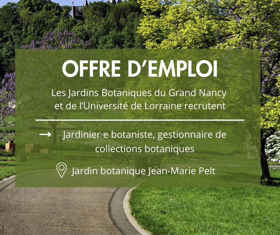 Offre d'emploi, jardinier·e, gestionnaire de collections botaniques - Villers-lès-Nancy (54)