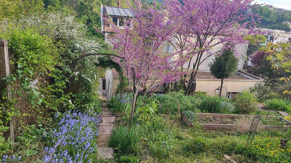 Mise à disposition d'un très joli potager - Besançon (25)