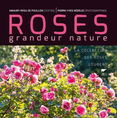 Roses grandeur nature - Amaury Rosa de Poullois - Pierre-Yves Nédélec